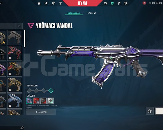 Asil ve yagmacı vandallı valo hesabı
