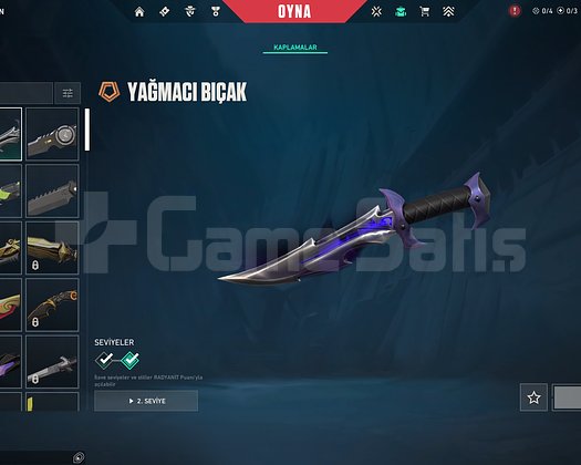 Asil ve yagmacı vandallı valo hesabı