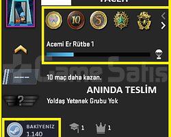 6 MADALYA / 633 SAAT / 197 WIN/ FACEİT