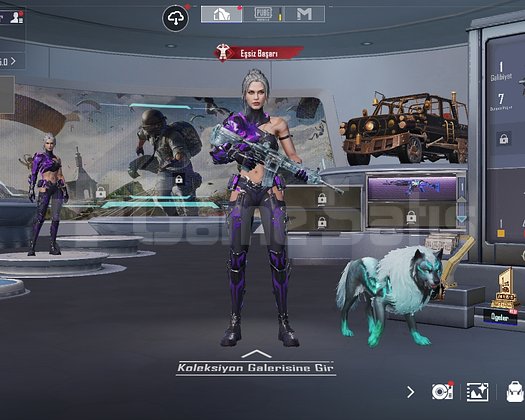 1 NİHAİ SET 49 DESTASI BUZ M4 KAÇMAZ HESAP