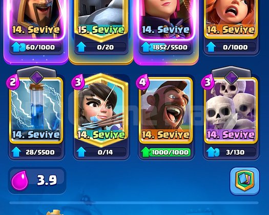 9.8K KUPA 5 EVRİM 6YILLIK CR