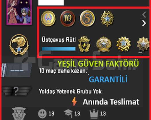 ANINDA TESLİM | 8 MADALYA | 761 SAAT | FACEIT