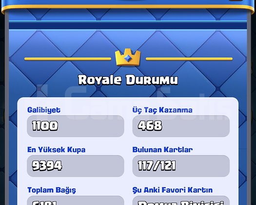 9350+ KUPA ANLIK DEVİR BAYRAMA ÖZEL