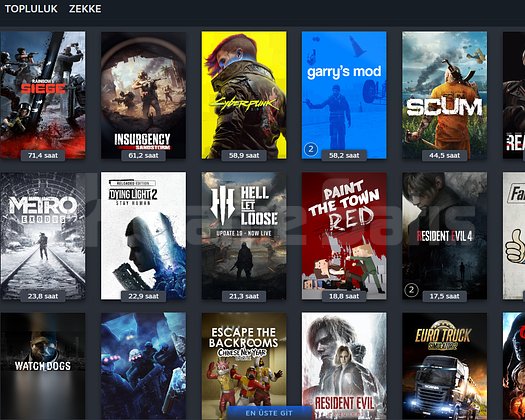 AAA Oyun serileri olan sahibinden steam hesap