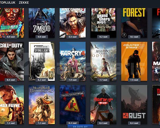 AAA Oyun serileri olan sahibinden steam hesap