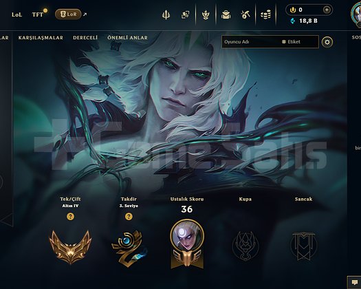 EUW GOLD 4 HANDMADE 11 SKİN 18.8K MÖ