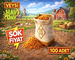 UCUZ 100 esmer şeker