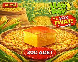 UCUZ 300 mısır ekmeği
