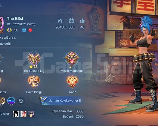 MOBİLE LEGENDS 190 KOSTÜM 92 HERO BÜTÇE DOSTU