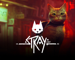 Stray