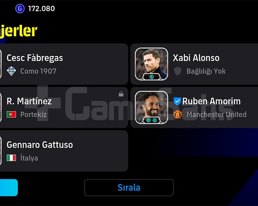 TEK BAĞ EFSANE HESAP ANINDA VERİLECEKTİR.