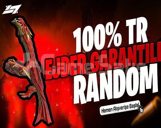 100TR VALORANT EJDER RANDOM