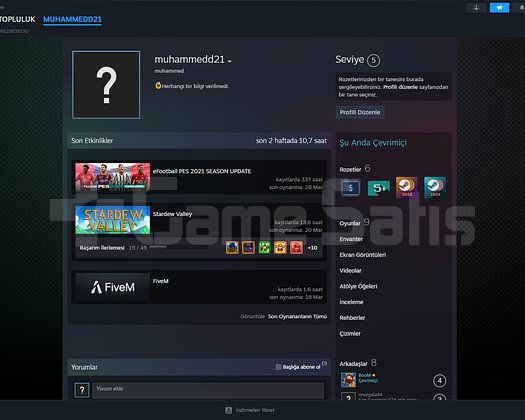 GTA V + The Witcher 3 + BF1 & BF5  14 Oyunlu Hesap