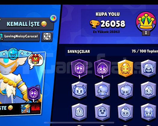 Güzel brawl stars hesabı