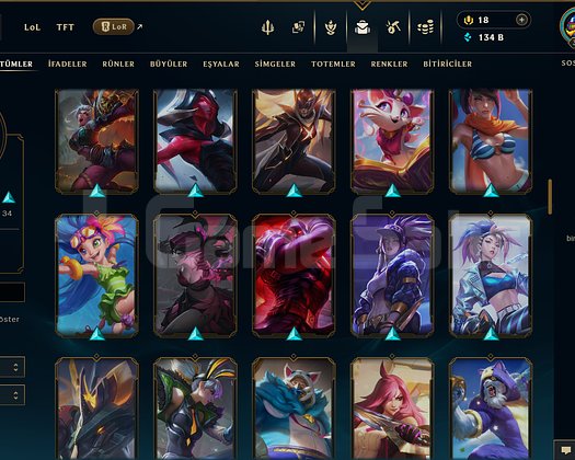 306 LEVEL + 107 KOSTÜM + 172 HERO+ BRONZ 2 + MAİL!