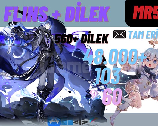 EU MR55+ FLINS 48000 Köken taşı 118+60 yazgı