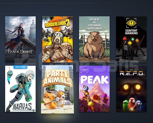 STEAM UCUZ DOLU HESAP