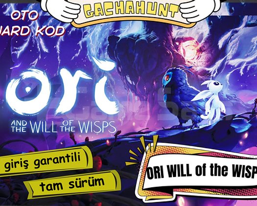 KESİN GİRİŞ DR1 Will of the Wisps
