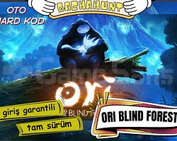 KESİN GİRİŞ Ori Blind Forest