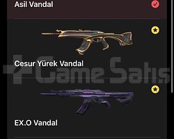 177 SV MAİNLİK 6 VANDALLI HARİKA HESAP