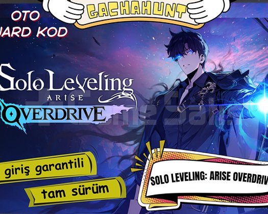 KESİN GİRİŞ SOLO LEVELİNG ARİSE OVERDRIVE