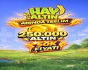 21 + Level 250 Bin Altın