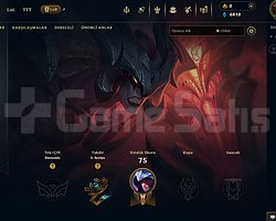 TR FRESH HAZIR UNRANKED ELLE KASILDI 10 SKIN