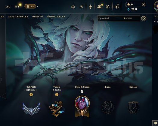 EUW HANDMADE GÜMÜŞ 1 22K MÖ 2 SKIN +35LP ACC