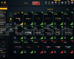 ESKİ HESAP 250+ SİLAH SKİNİ