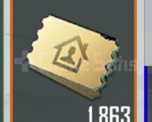 1000 adet pubg ev oyu