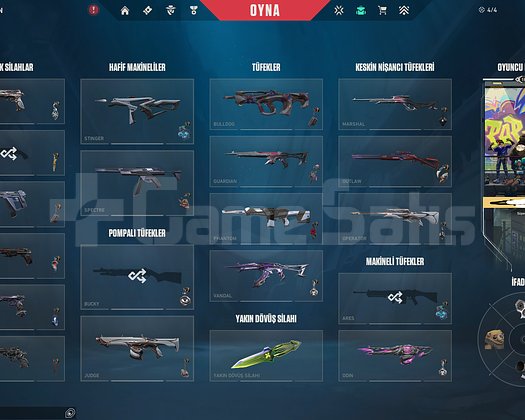 ömür boyu destek garanti main çar tüm skinler var