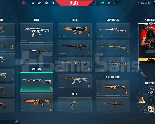 UYGUNA MAINLIK HESAP RGX KARAMBIT- ANOMALI KELEBEK