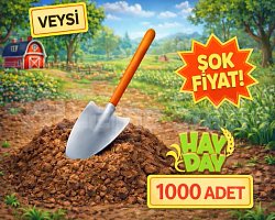 1000 kürek