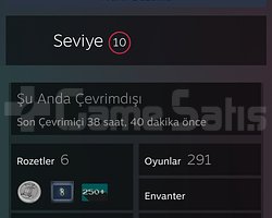 291 ADET BÜYÜK OYUNLU STEAM HESABI UYGUN FİYAT