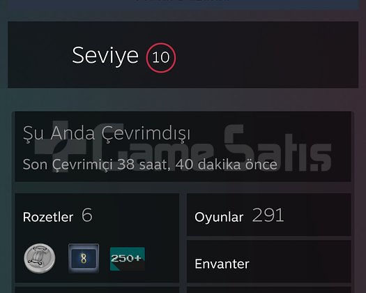 291 ADET BÜYÜK OYUNLU STEAM HESABI UYGUN FİYAT