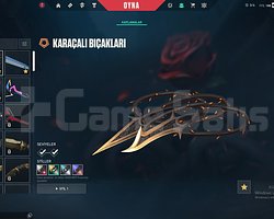 gold 1 hesap + lol hesabı / mail değişen