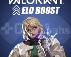 HIZLI BOOST HIZLI TESLİMAT!