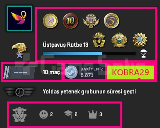 FACEİT+8 MADALYA 325 WİN 1013 SAAT SEÇKİN