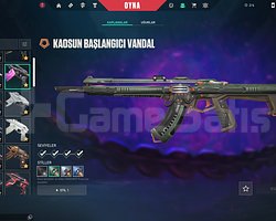 45 bin tl yatırılmış hesap