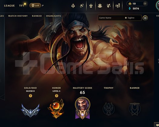 TR Gümüş 2 hesap 30 lp gain