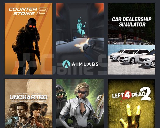 760 dolar değerindeki Steam hesabı