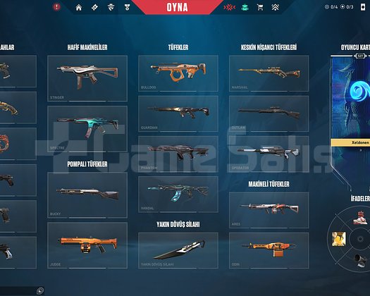 3 tane champions bıcak 1 vandal ve bir sürü skin