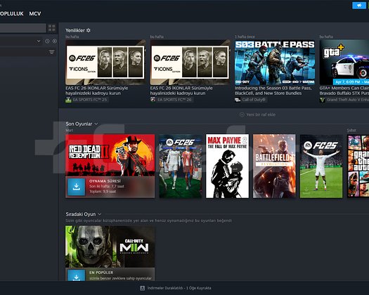358 Dolar Değerinde Kişisel Steam Hesabı