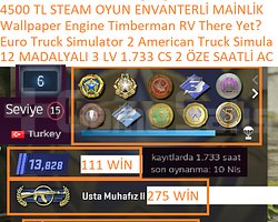 12 MADALYALI 3 LV 1.733 CS 2 SAATLİ Euro Truck Sim