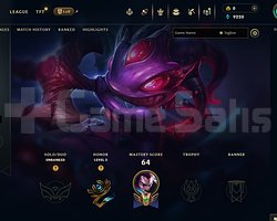EUW Unranked | 9 Kostüm - 40 Hero | LoL Hesap