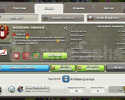 16 LVL Uygun kristal 1 lig klan