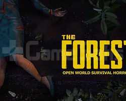 The Forest