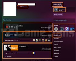 9.102 SAATLİ DOTA 2 757 AD İTM 1922 MMR FACEİT MAİ