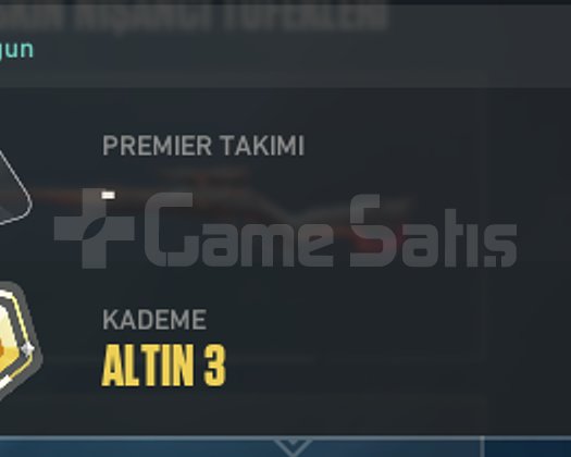 Mainlik Dolu Hesap KAÇMAZ