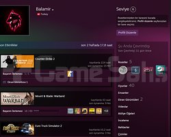 543 dolarlık Steam Hesabım Rdr2, Dying Light 1-2..